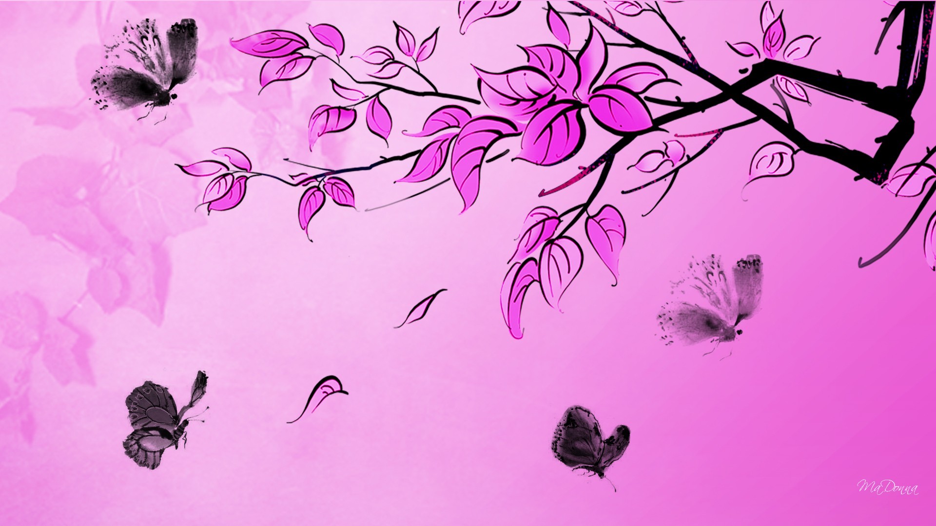 Neon Pink Butterfly Wallpapers