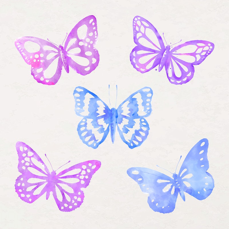 Neon Pink Butterfly Wallpapers