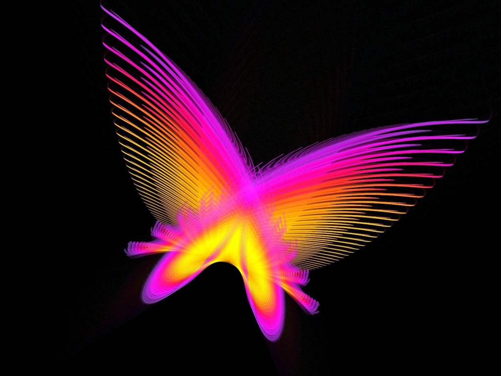 Neon Pink Butterfly Wallpapers