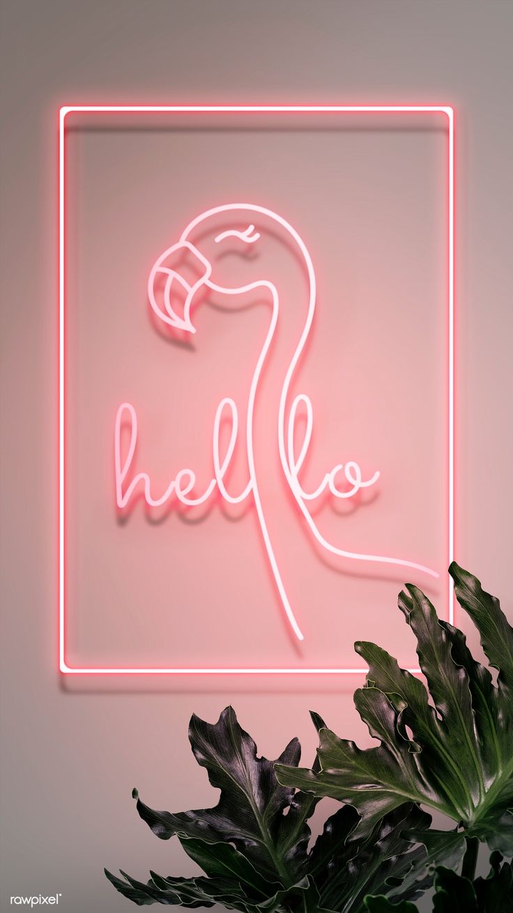 Neon Pink Flamingo Wallpapers