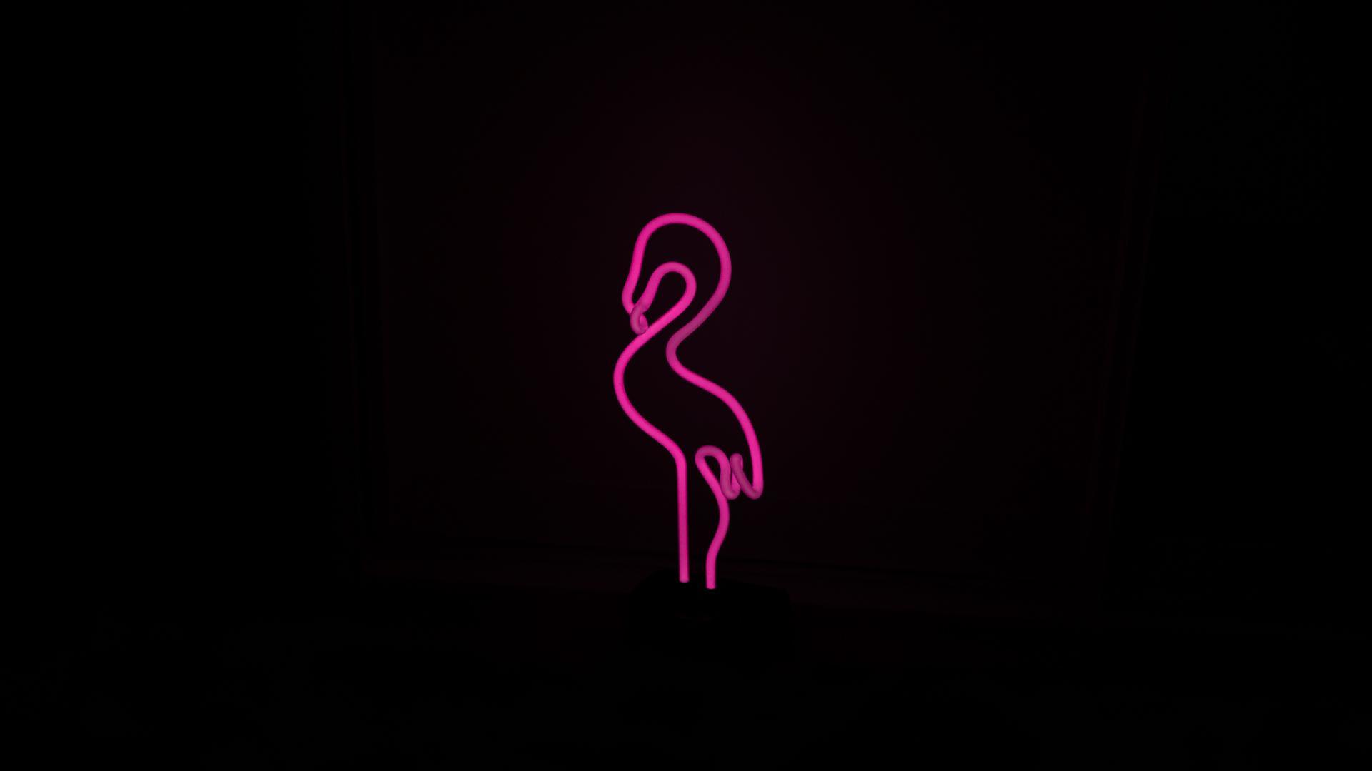 Neon Pink Flamingo Wallpapers