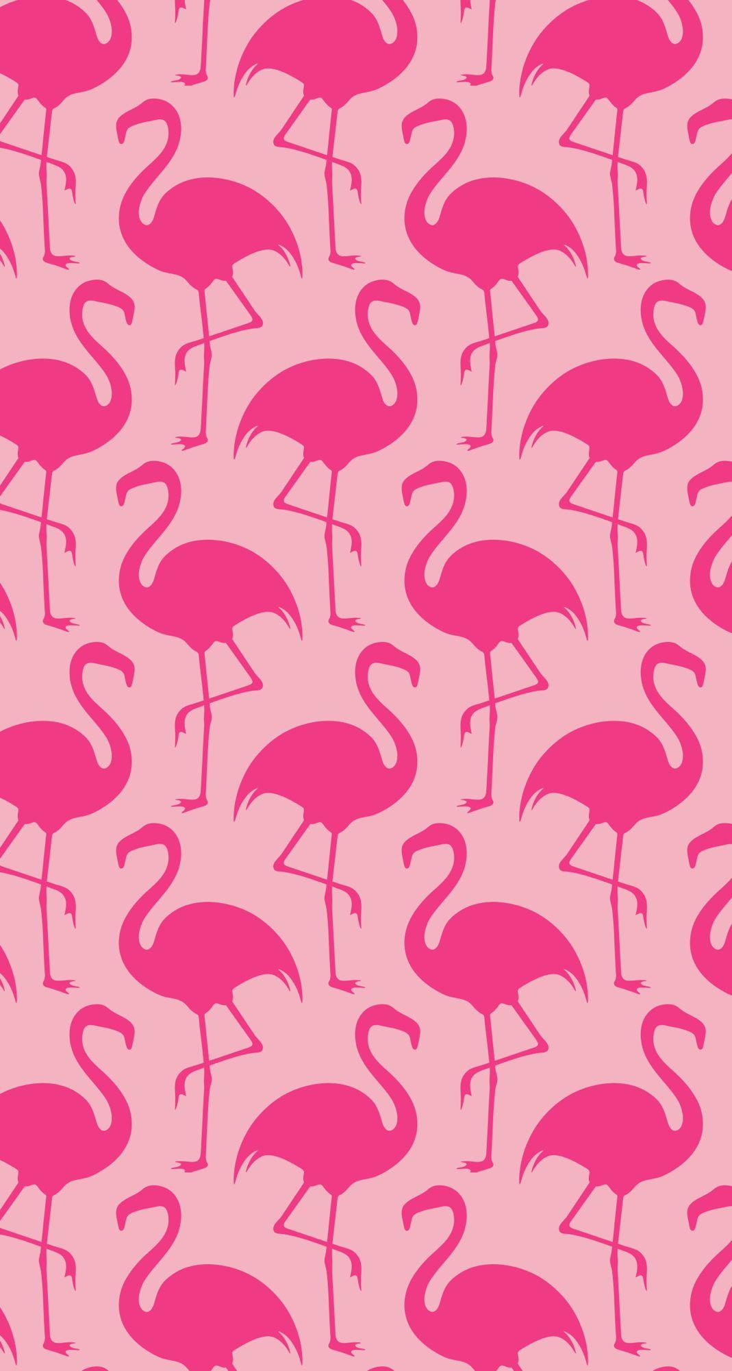 Neon Pink Flamingo Wallpapers