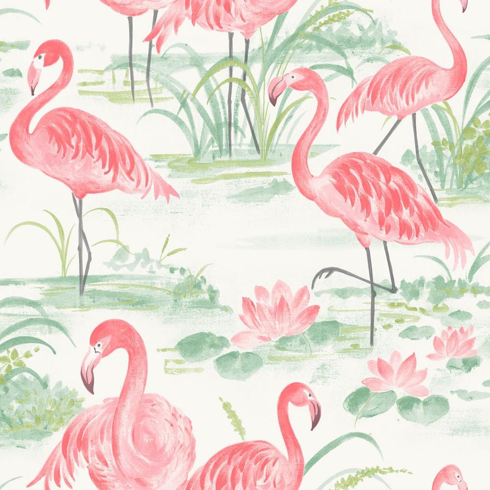Neon Pink Flamingo Wallpapers