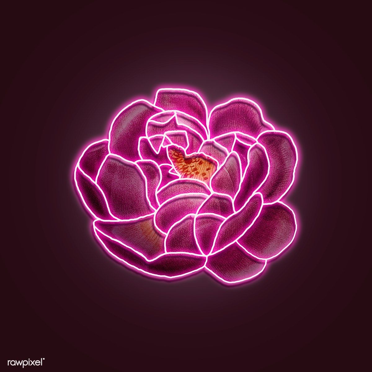 Neon Pink Flower Wallpapers