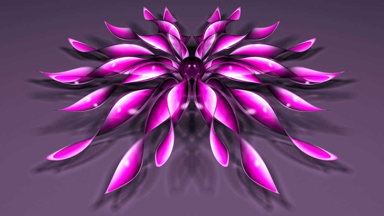 Neon Pink Flower Wallpapers