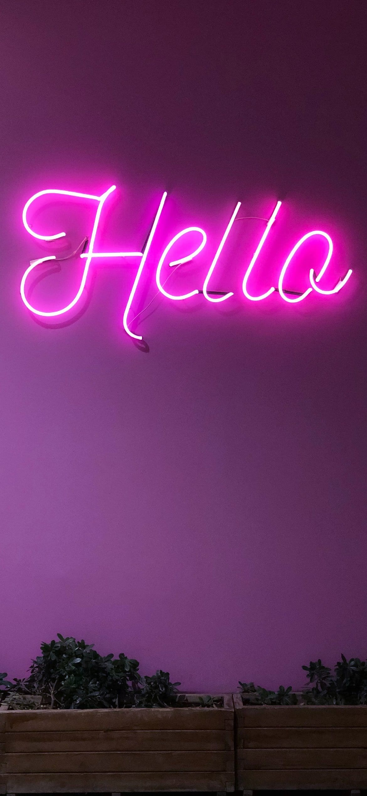 Neon Purple Iphone Wallpapers