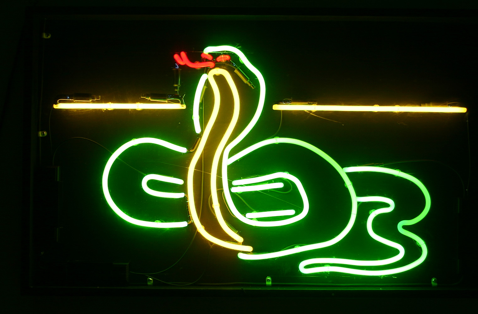 Neon Snake Wallpapers