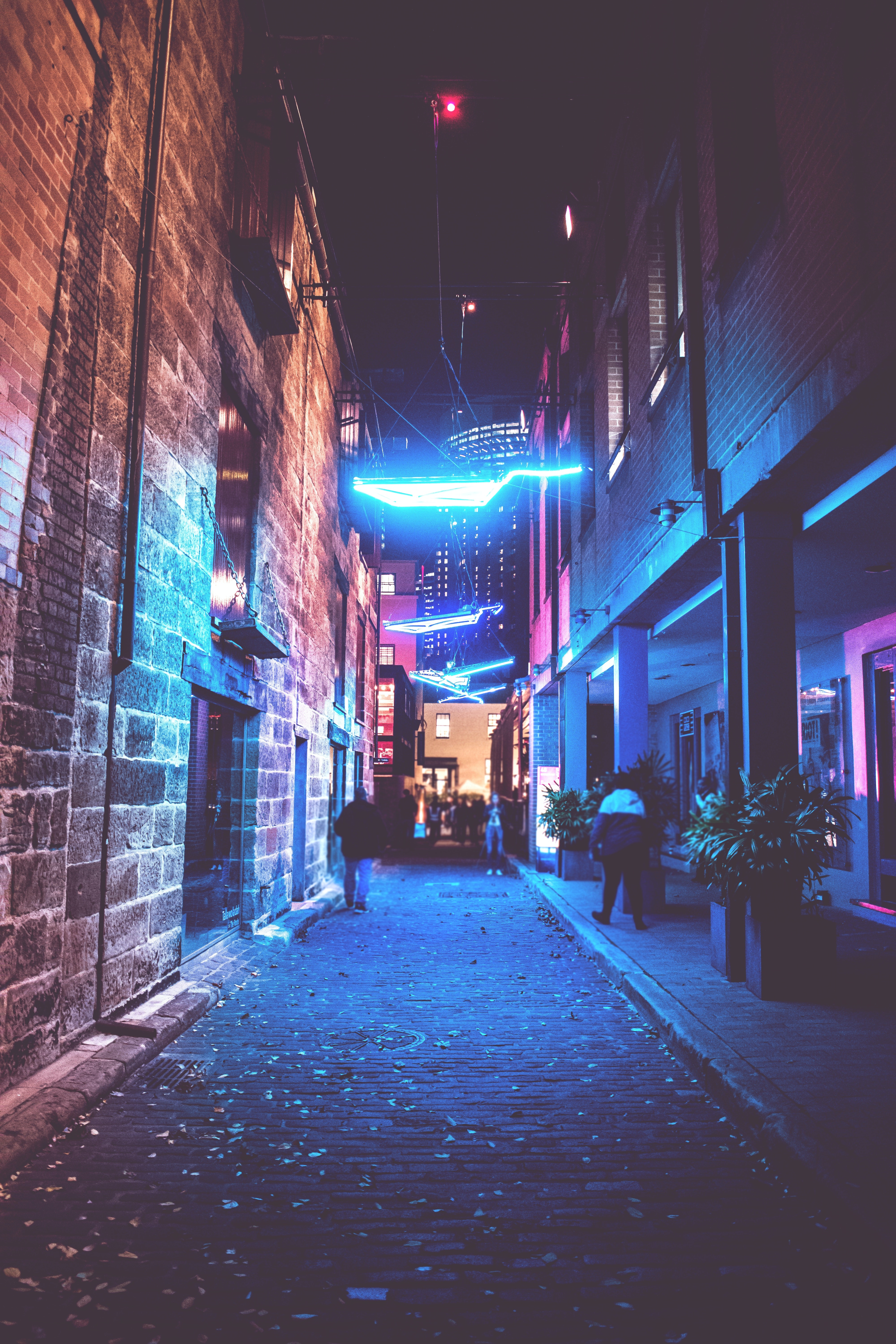 Neon Street Wallpapers