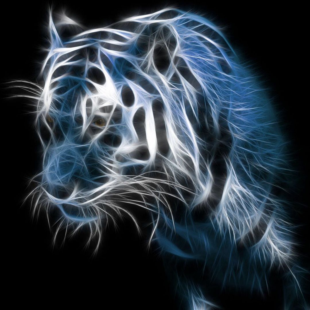 Neon Tiger Wallpapers