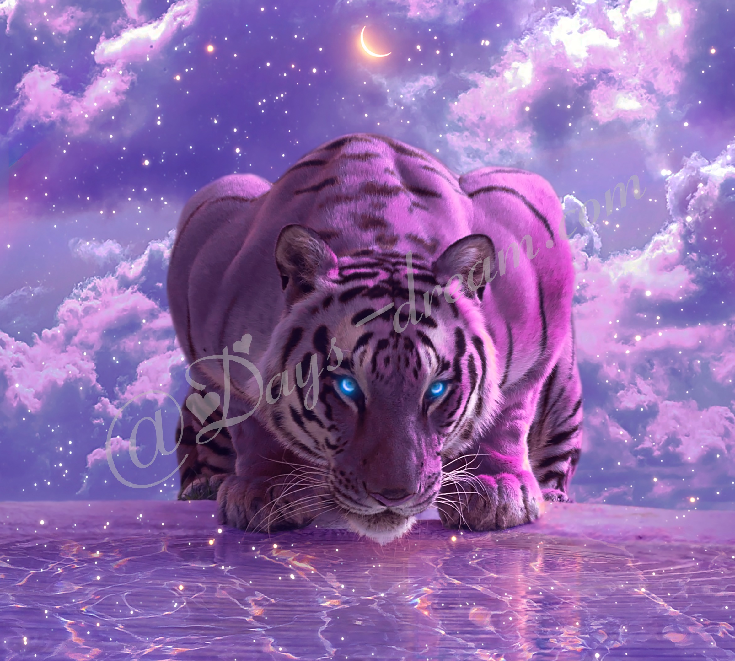 Neon Tiger Wallpapers