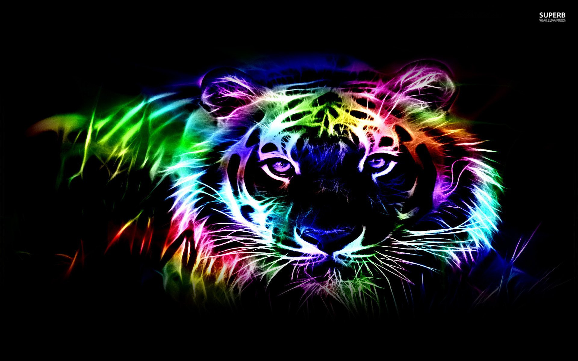 Neon Tiger Wallpapers