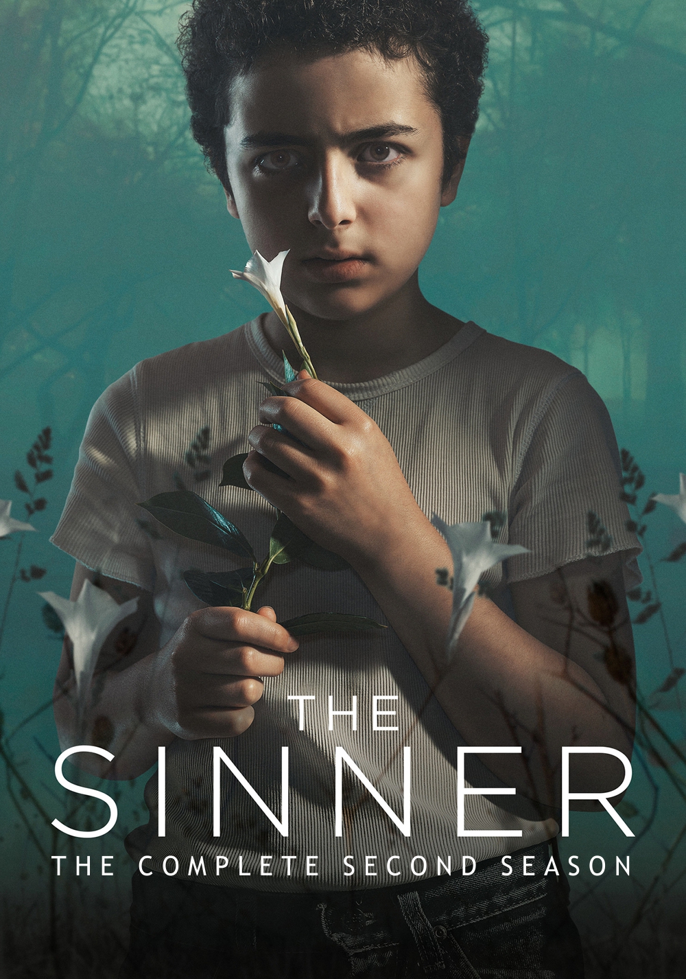 Netflix The Sinner Wallpapers