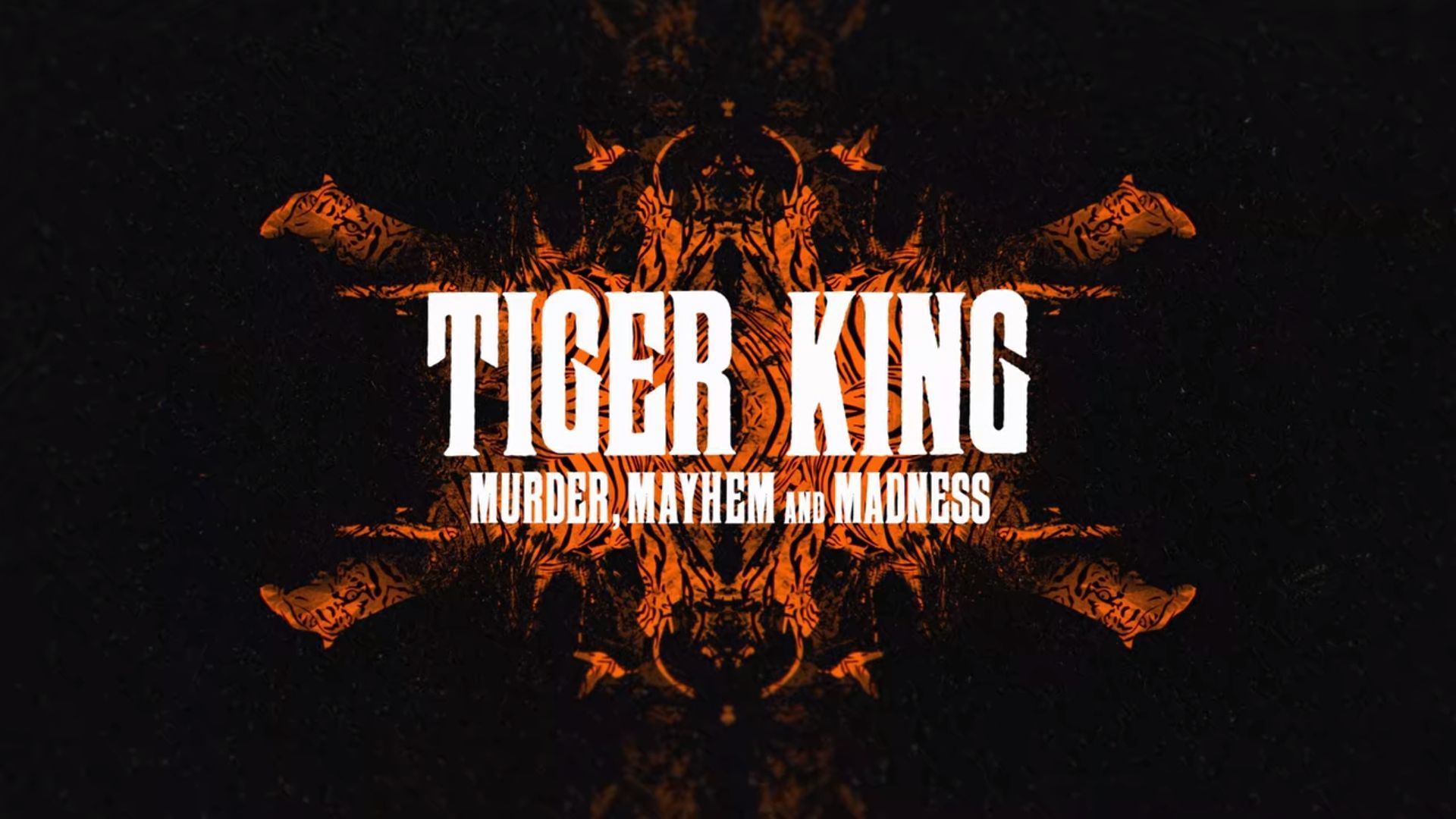 Netflix Tiger King Wallpapers