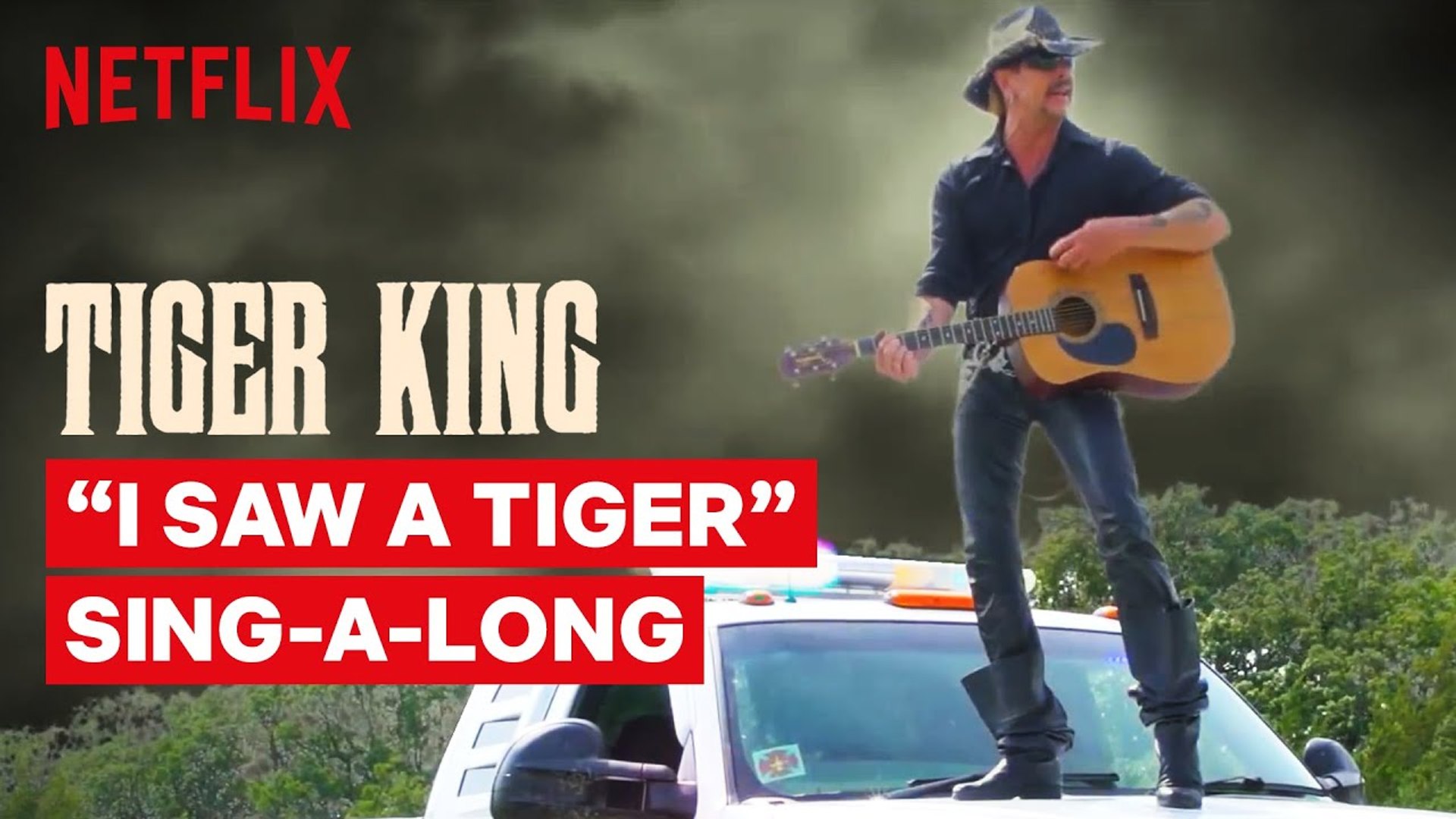 Netflix Tiger King Wallpapers