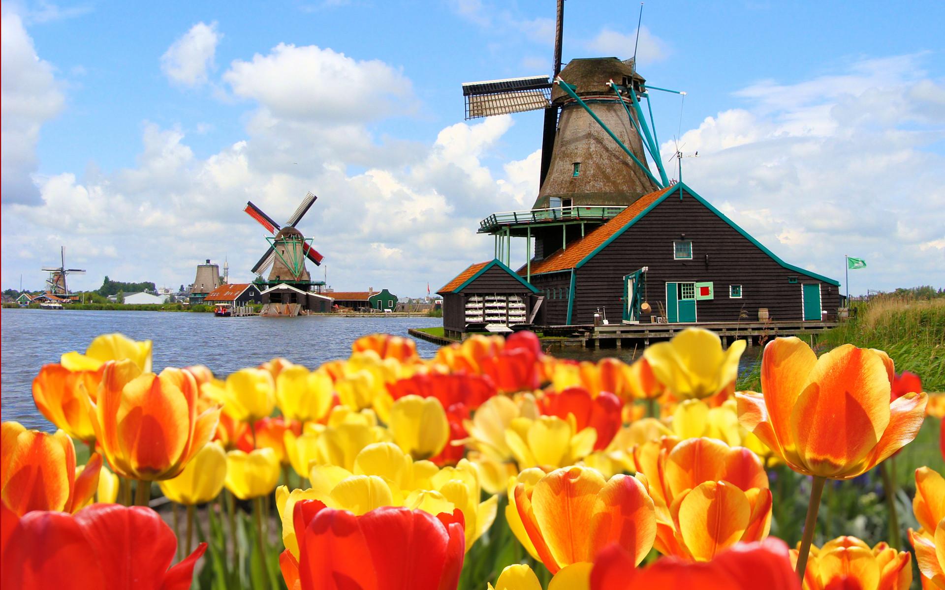 Netherlands Landscapes Wallpapers