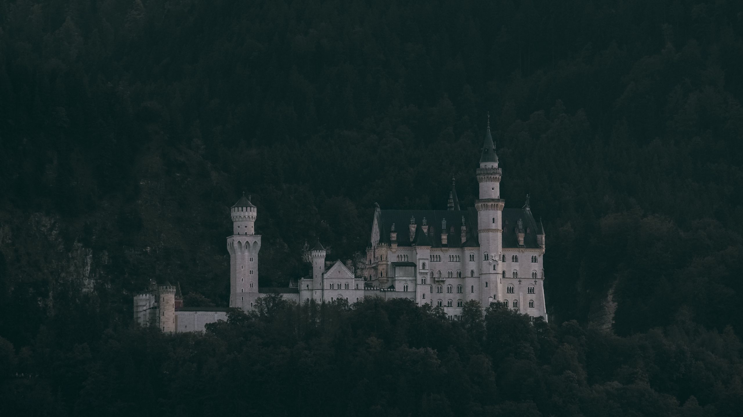 Neuschwanstein Castle Mountains And Forest Germany Wallpapers