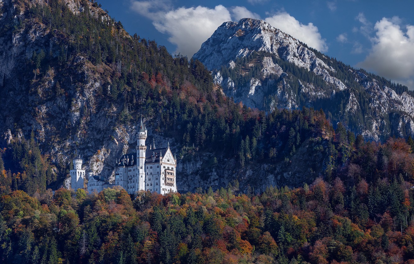 Neuschwanstein Castle Mountains And Forest Germany Wallpapers