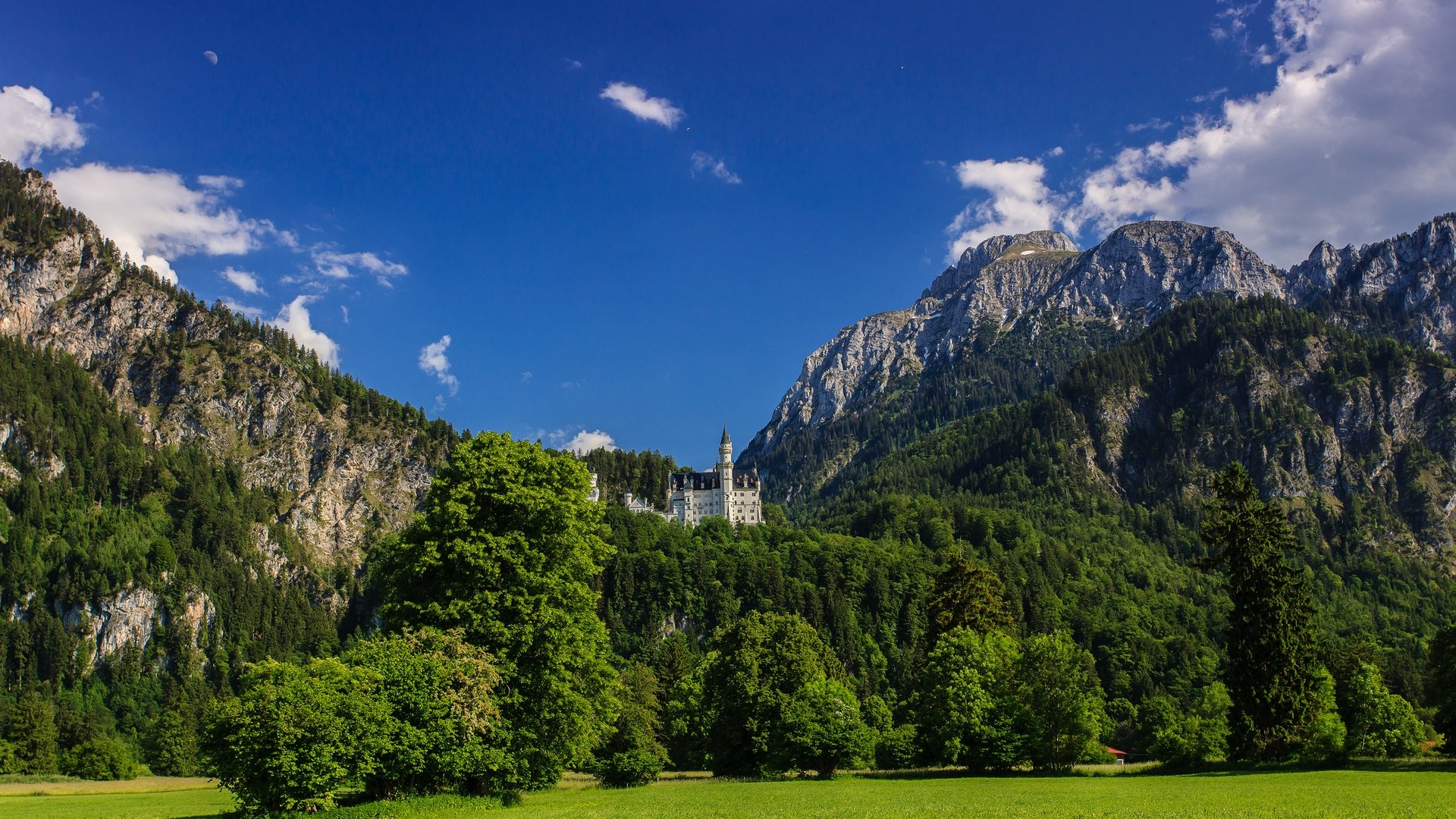 Neuschwanstein Wallpapers