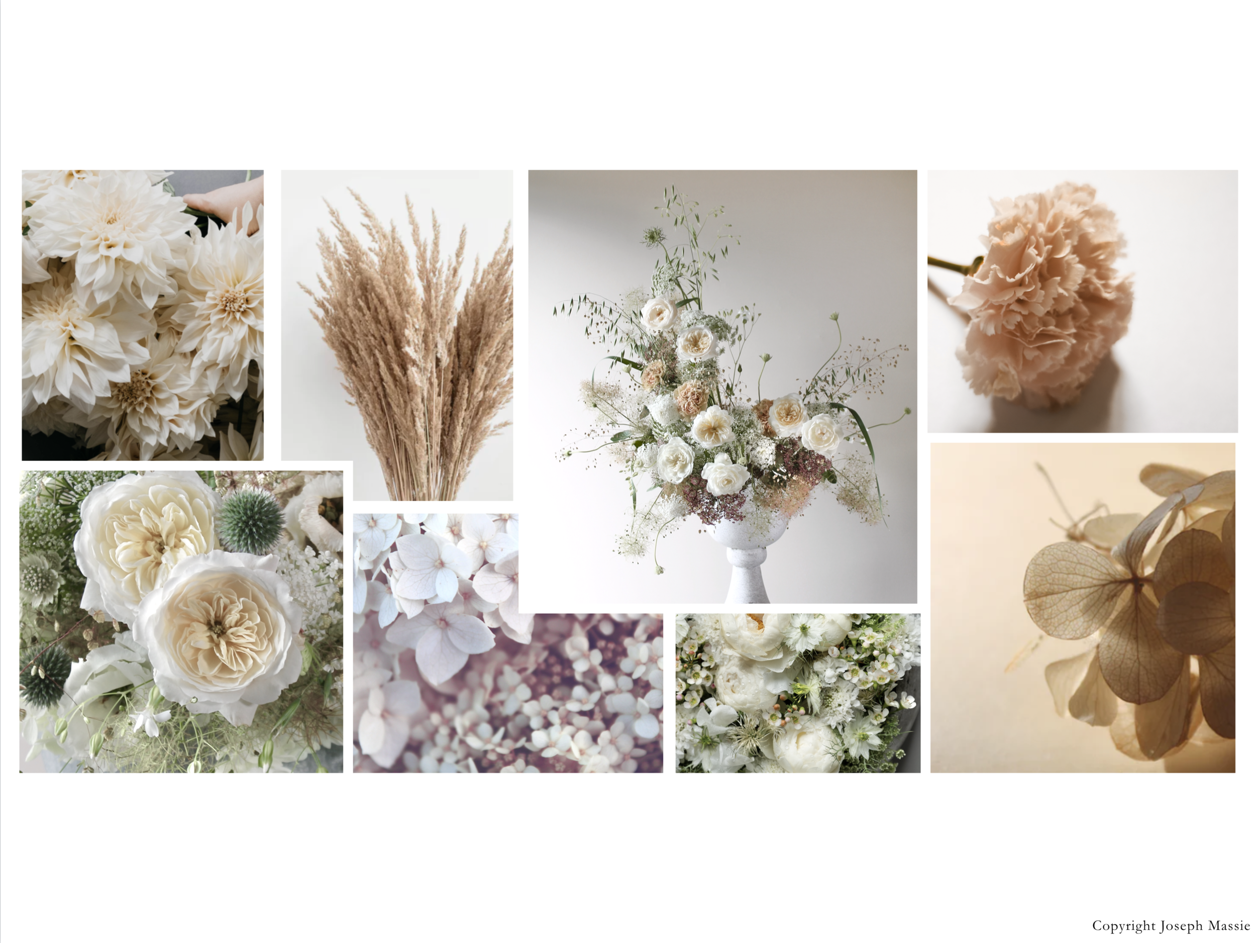 Neutral Flower Background