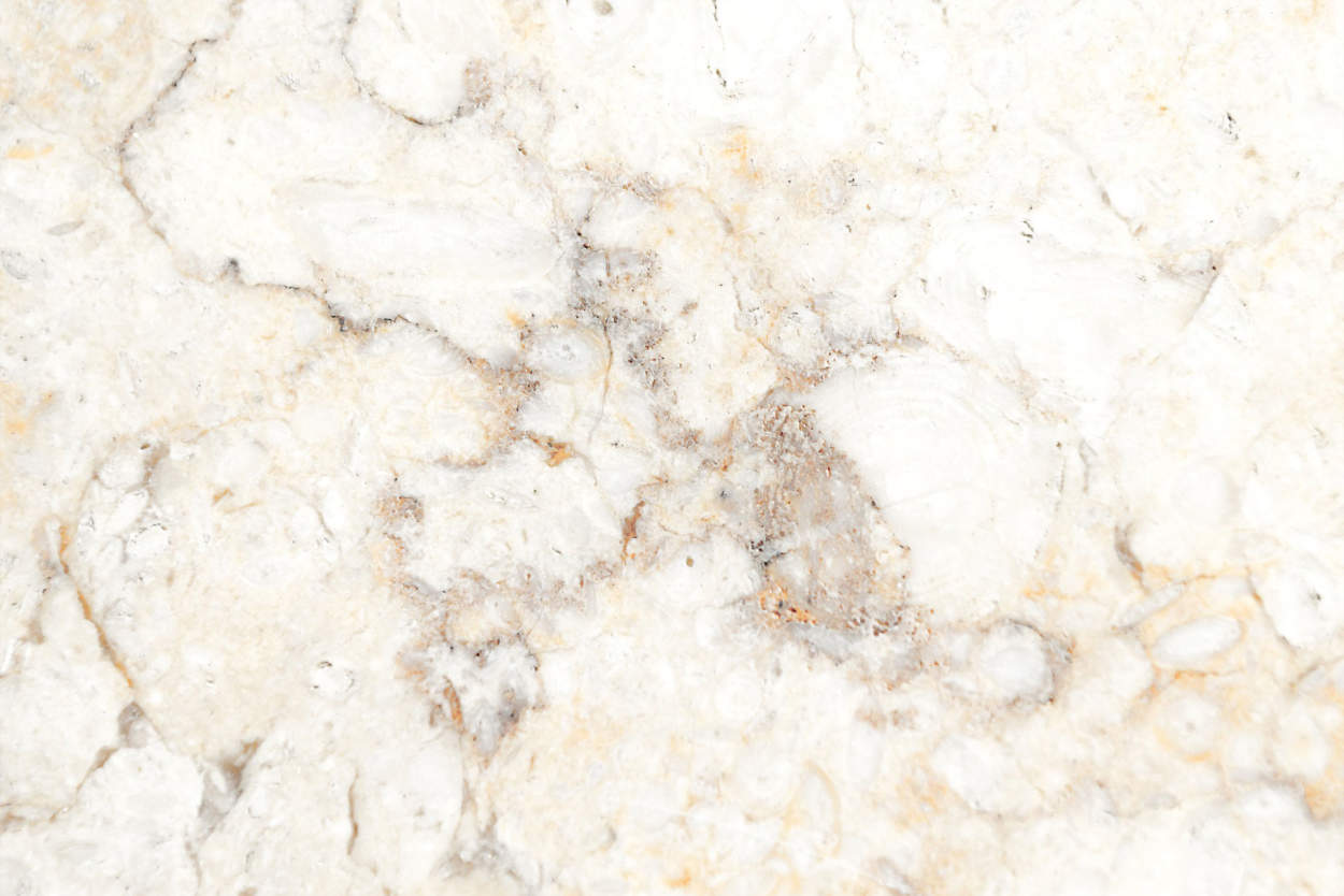 Neutral Marble Background