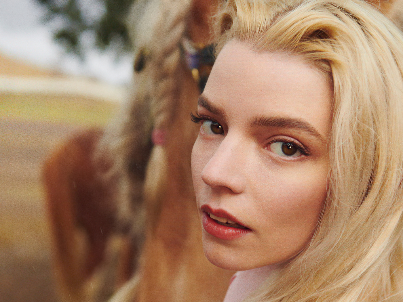 New Anya Taylor-Joy Actress 2021 Wallpapers