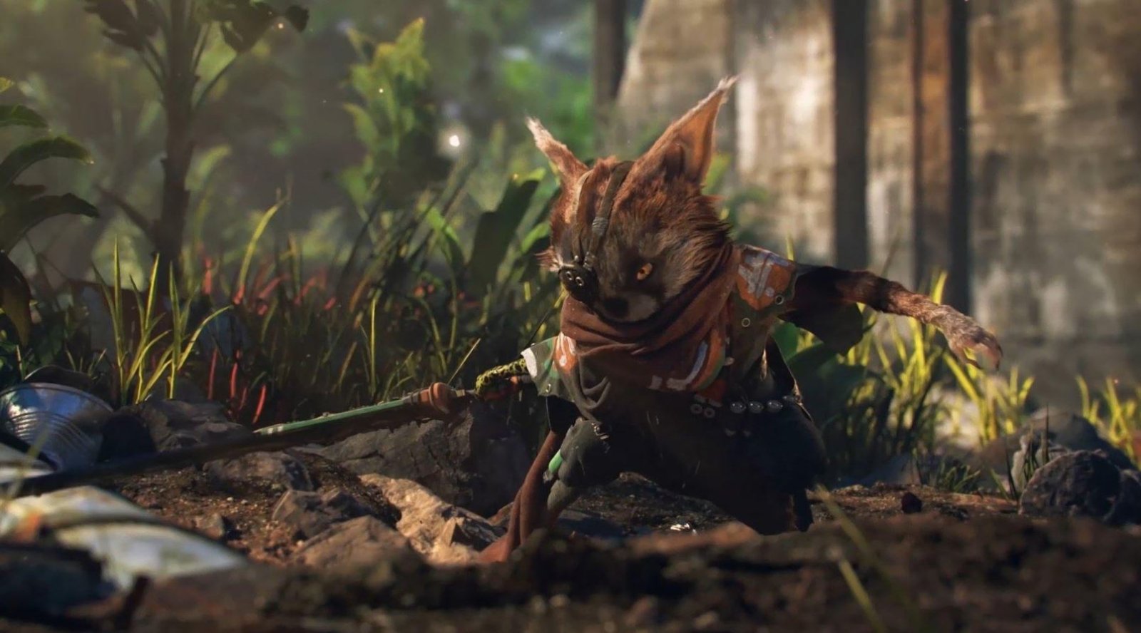 New Biomutant 2021 Wallpapers