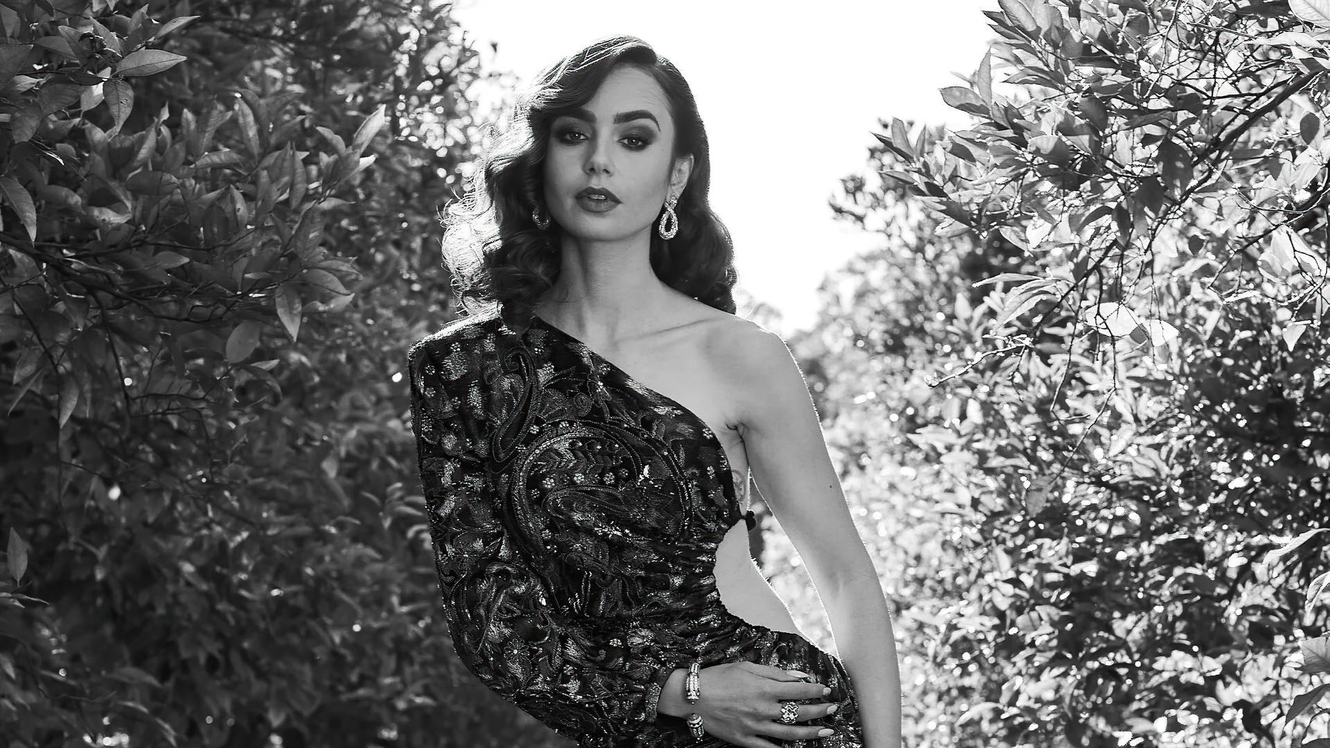 New Lily Collins Actress 2021 Wallpapers