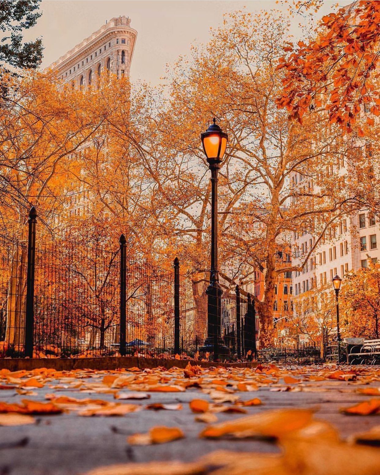 New York Fall Wallpapers