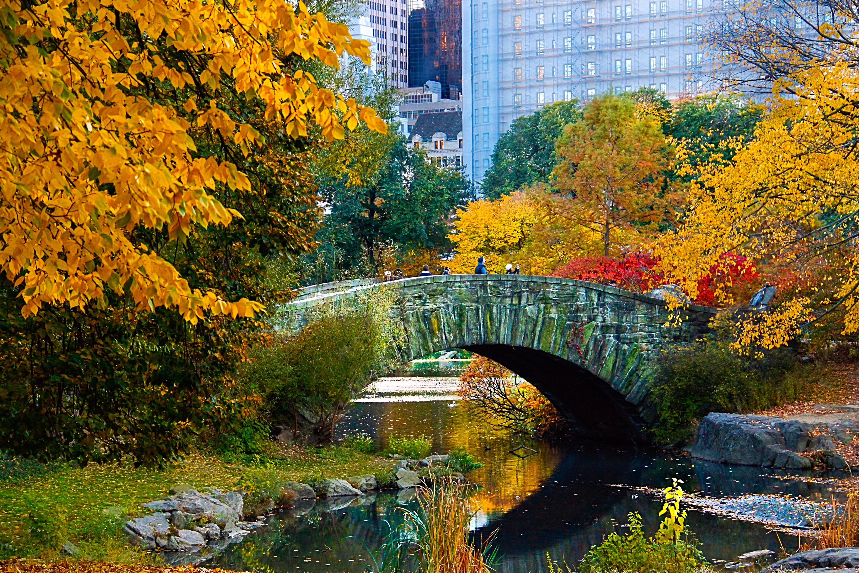 New York Fall Wallpapers