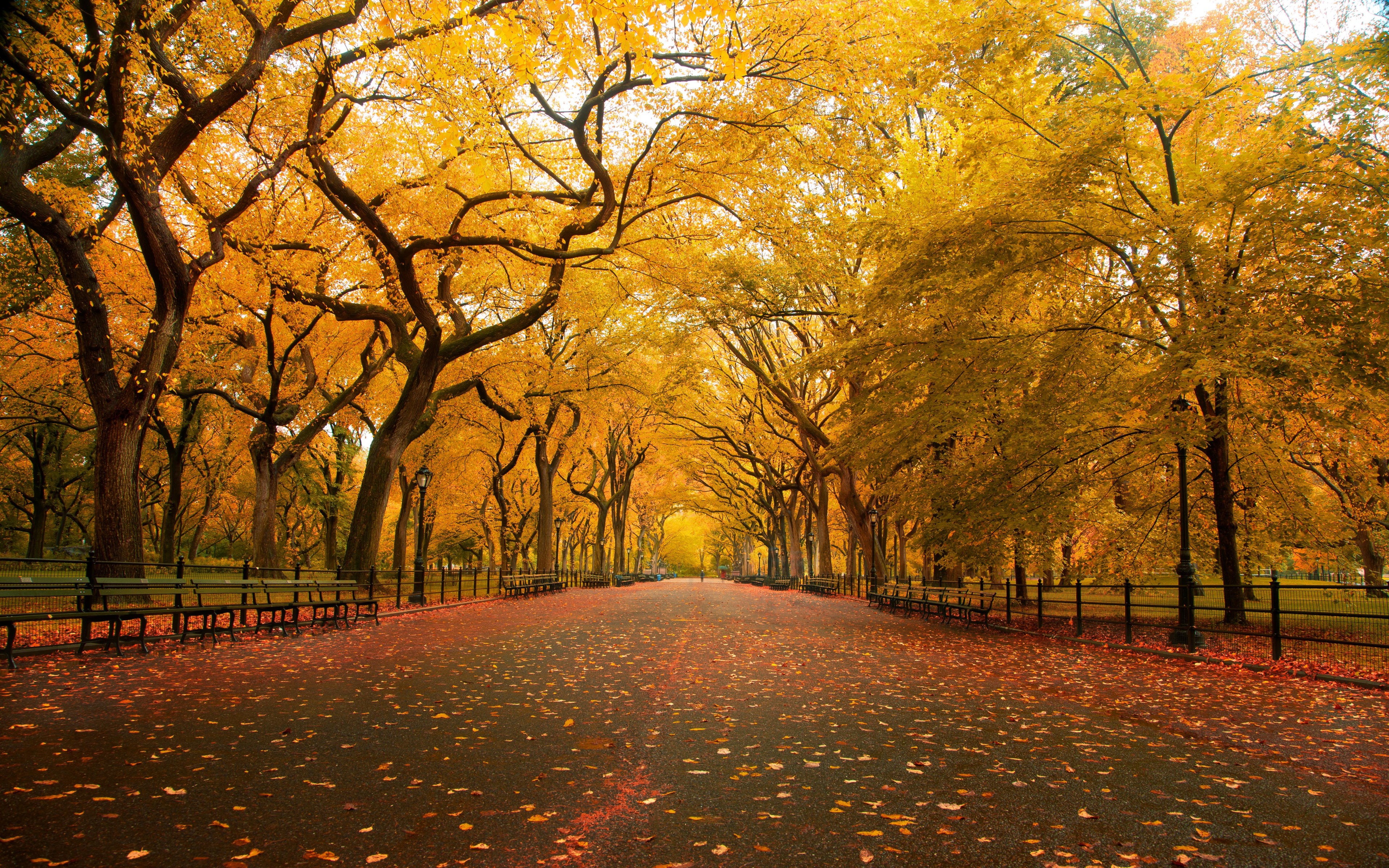 New York Fall Wallpapers