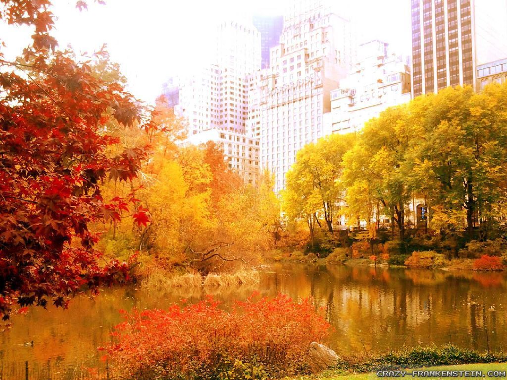 New York Fall Wallpapers