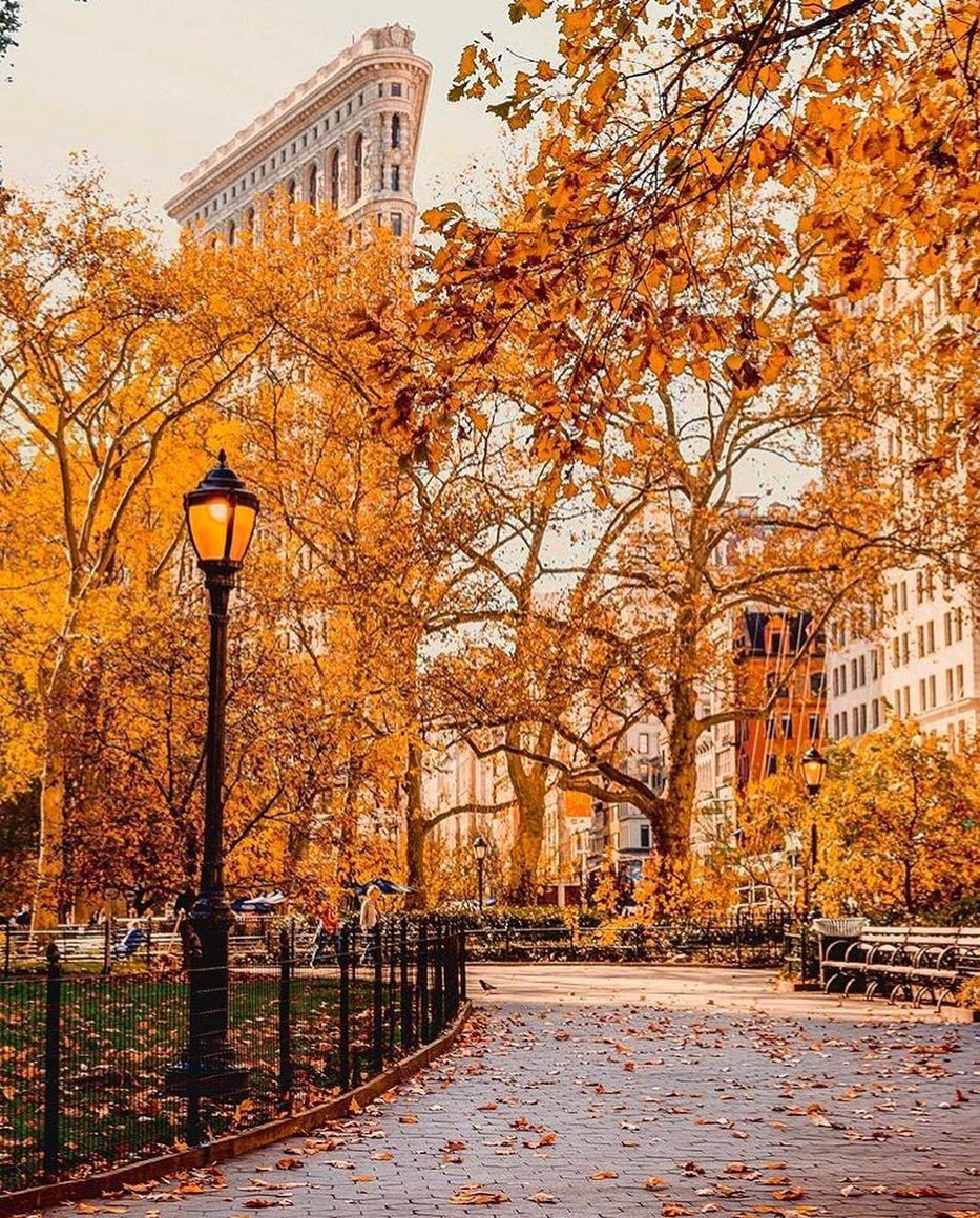 New York Fall Wallpapers