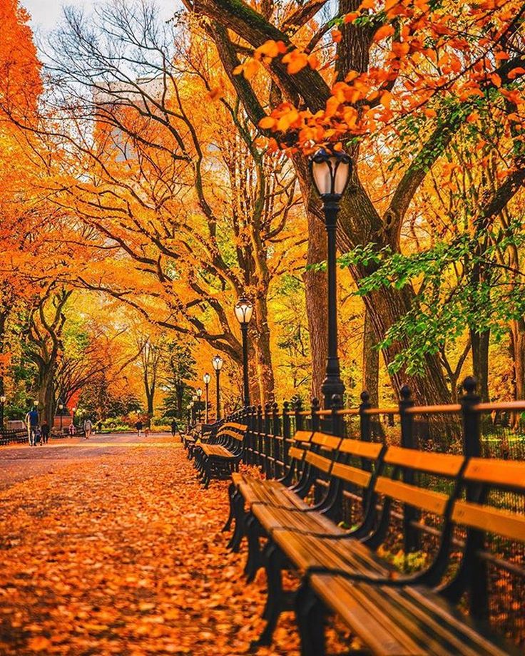 New York Fall Wallpapers