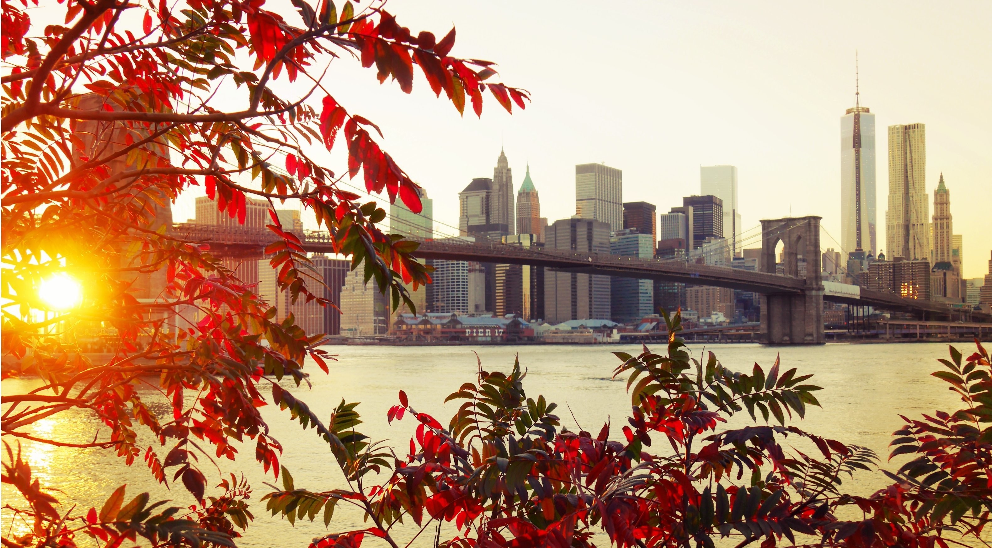 New York Fall Wallpapers