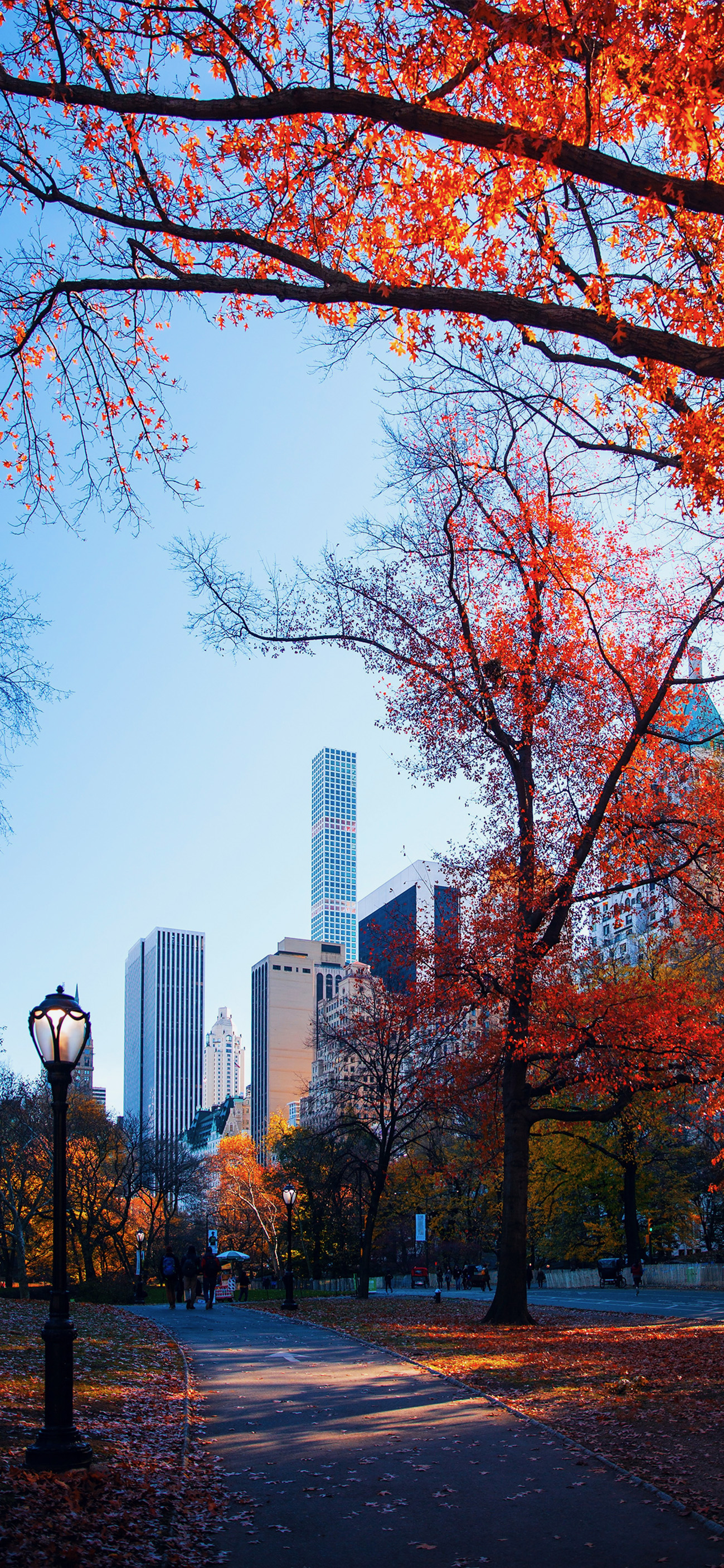 New York Fall Wallpapers