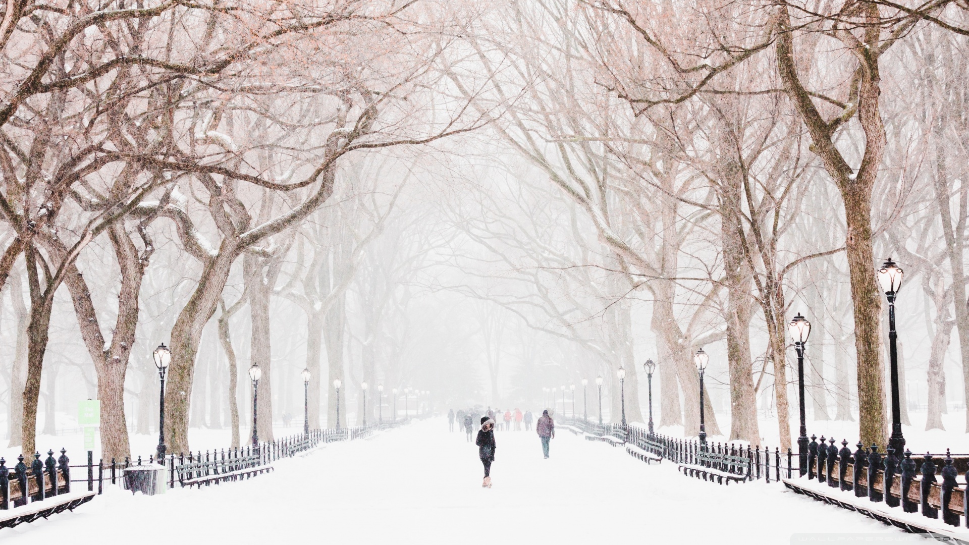 New York Winter Wallpapers