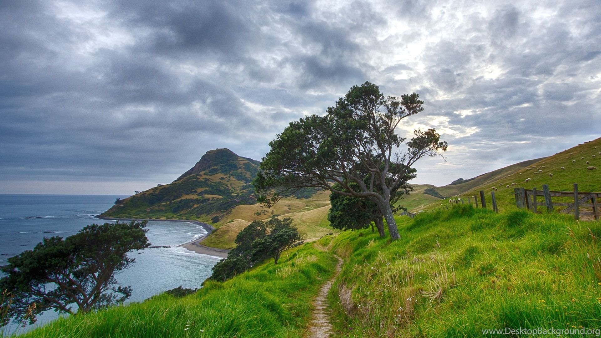 New Zealand Scenery Images Wallpapers