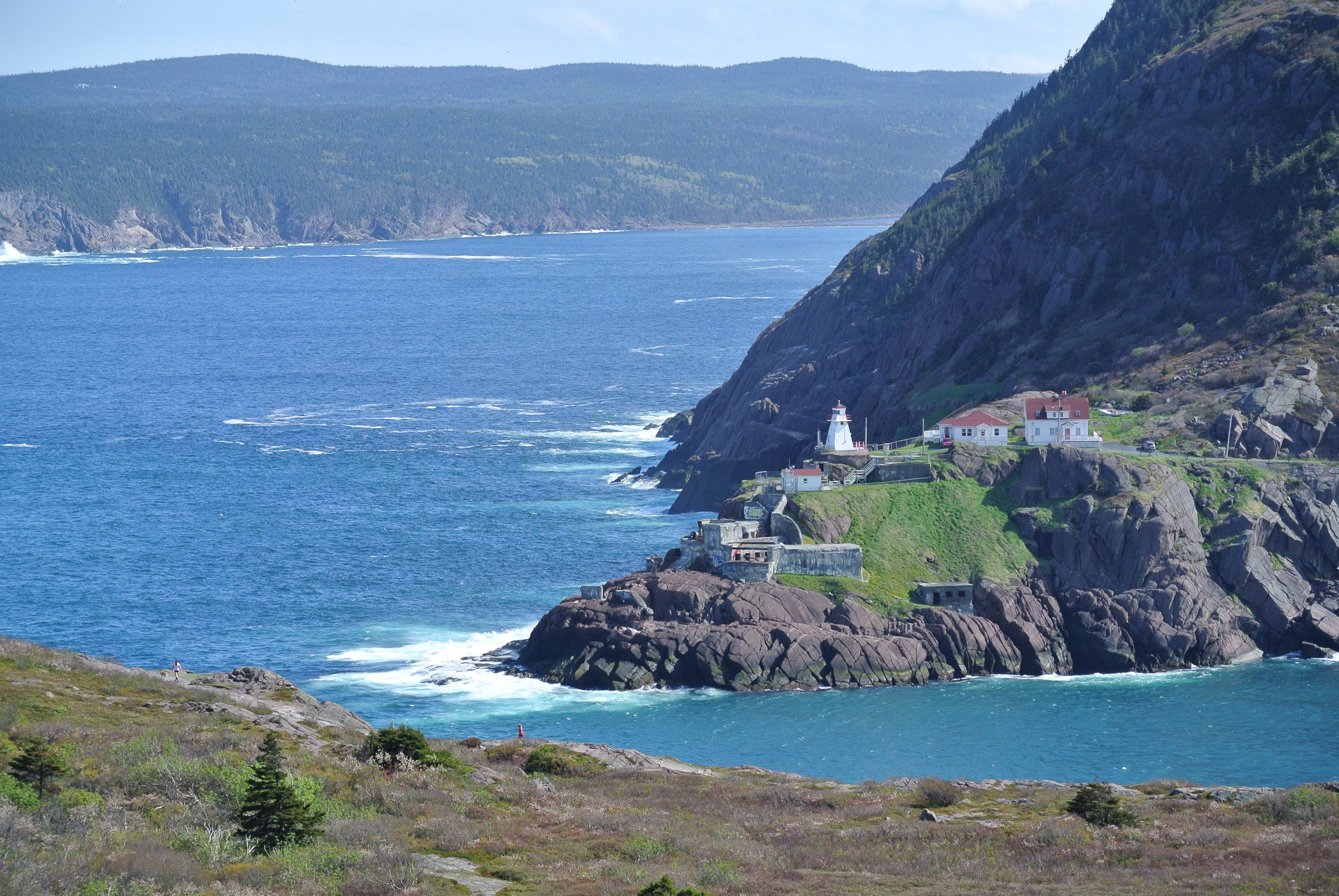 Newfoundland Wallpapers