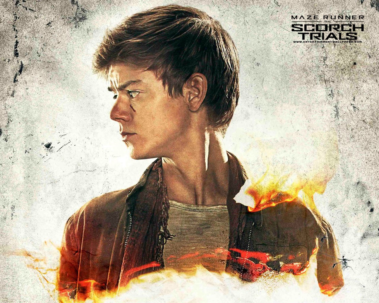 Newt Wallpapers