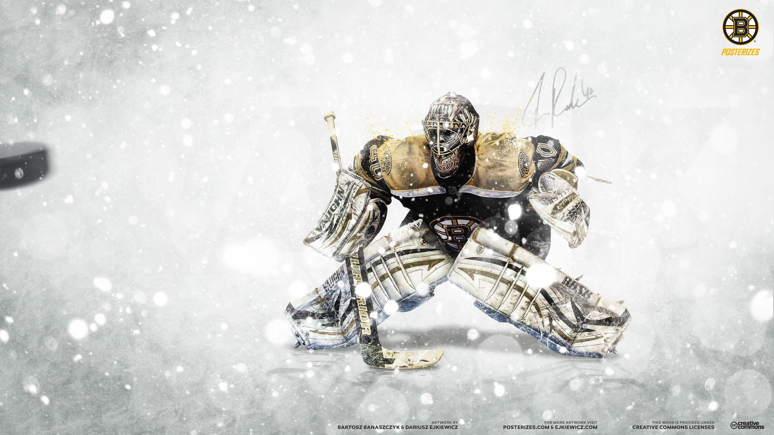 Nhl Goalie Wallpapers