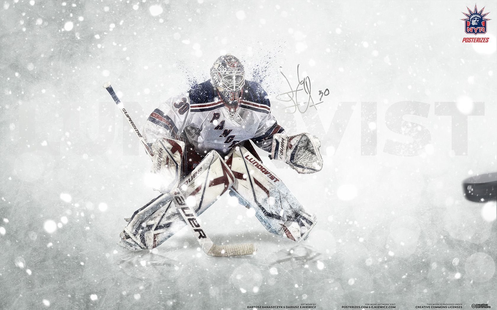 Nhl Goalie Wallpapers