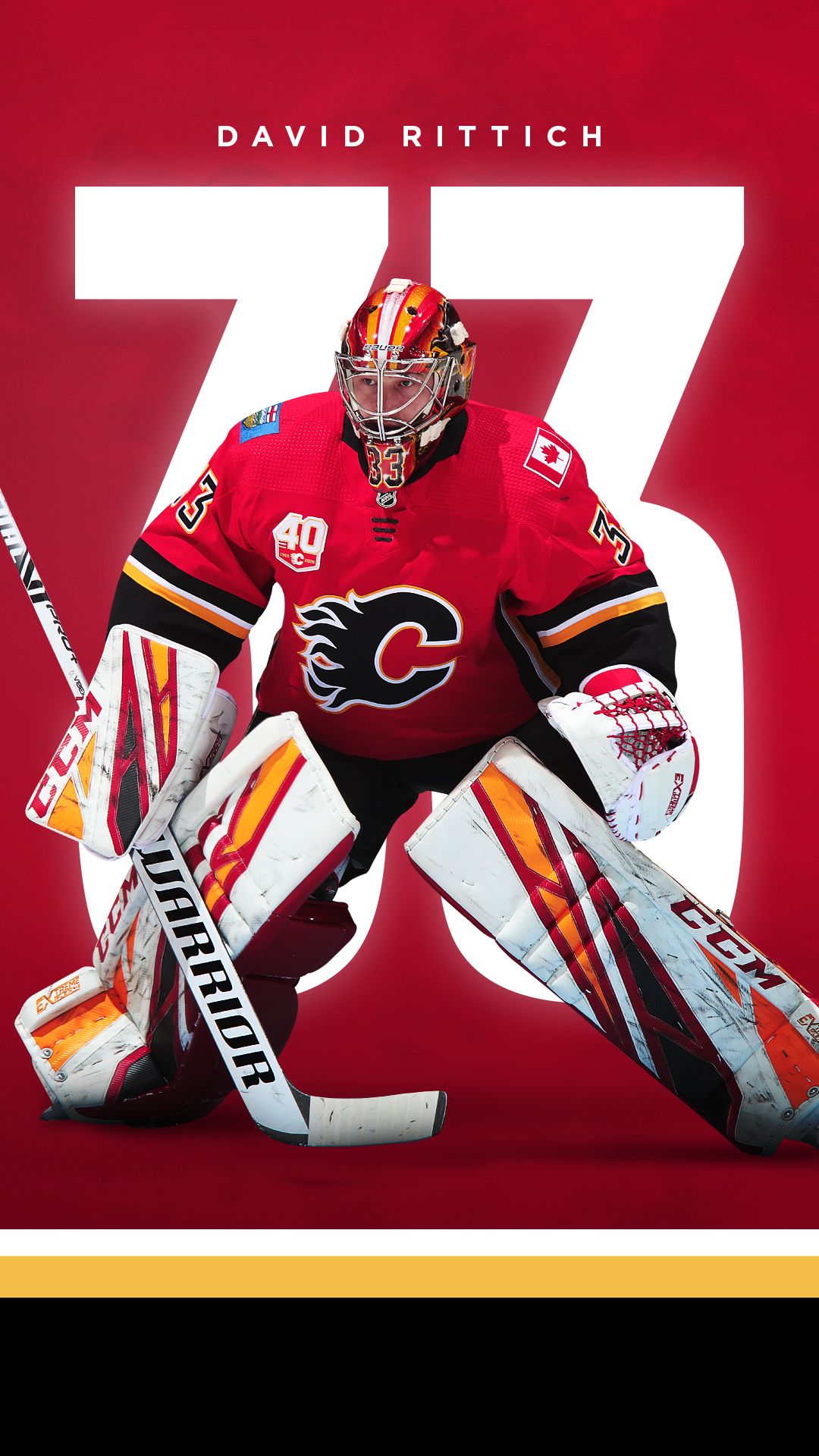 Nhl Goalie Wallpapers