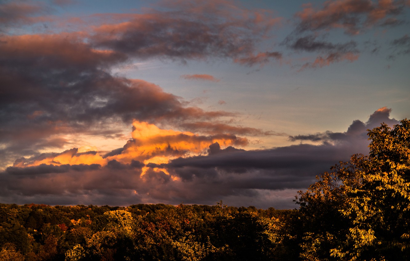 Nice View Between Forest Trees At Evening Sky Wallpapers