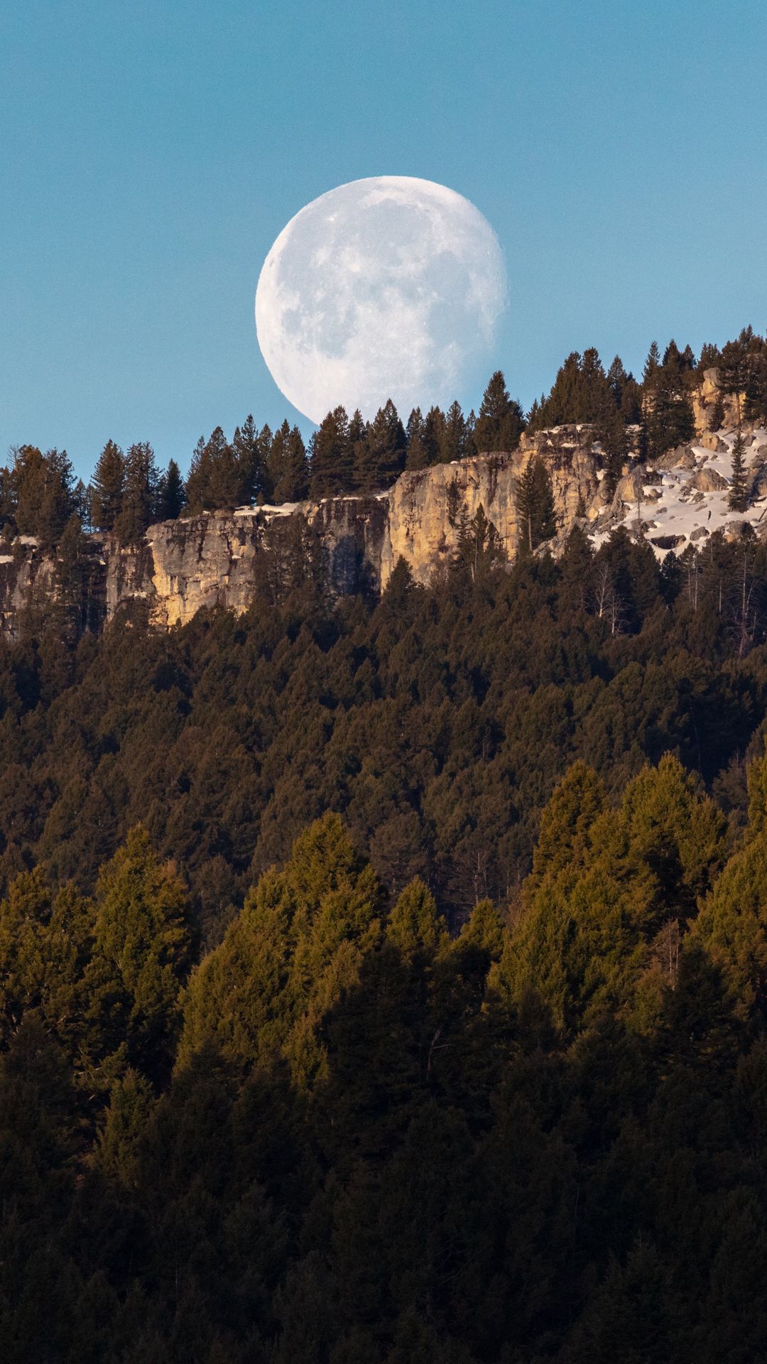 Nice View Between Forest Trees At Evening Sky Wallpapers