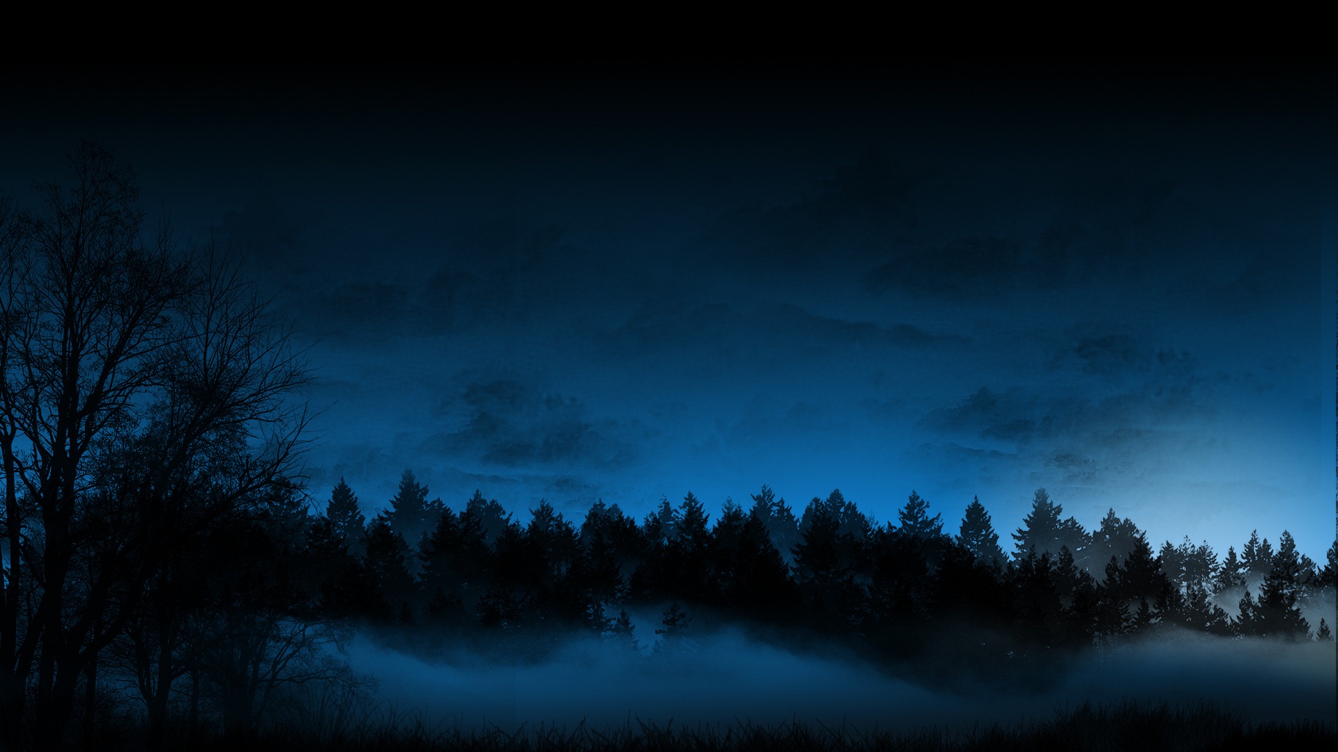 Nice View Between Forest Trees At Evening Sky Wallpapers