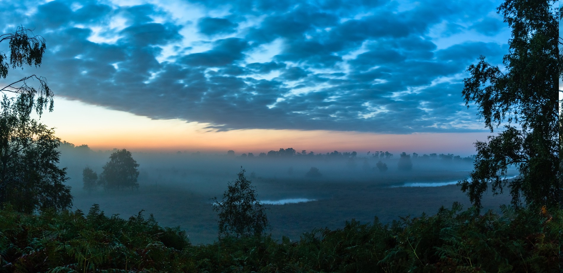 Nice View Between Forest Trees At Evening Sky Wallpapers