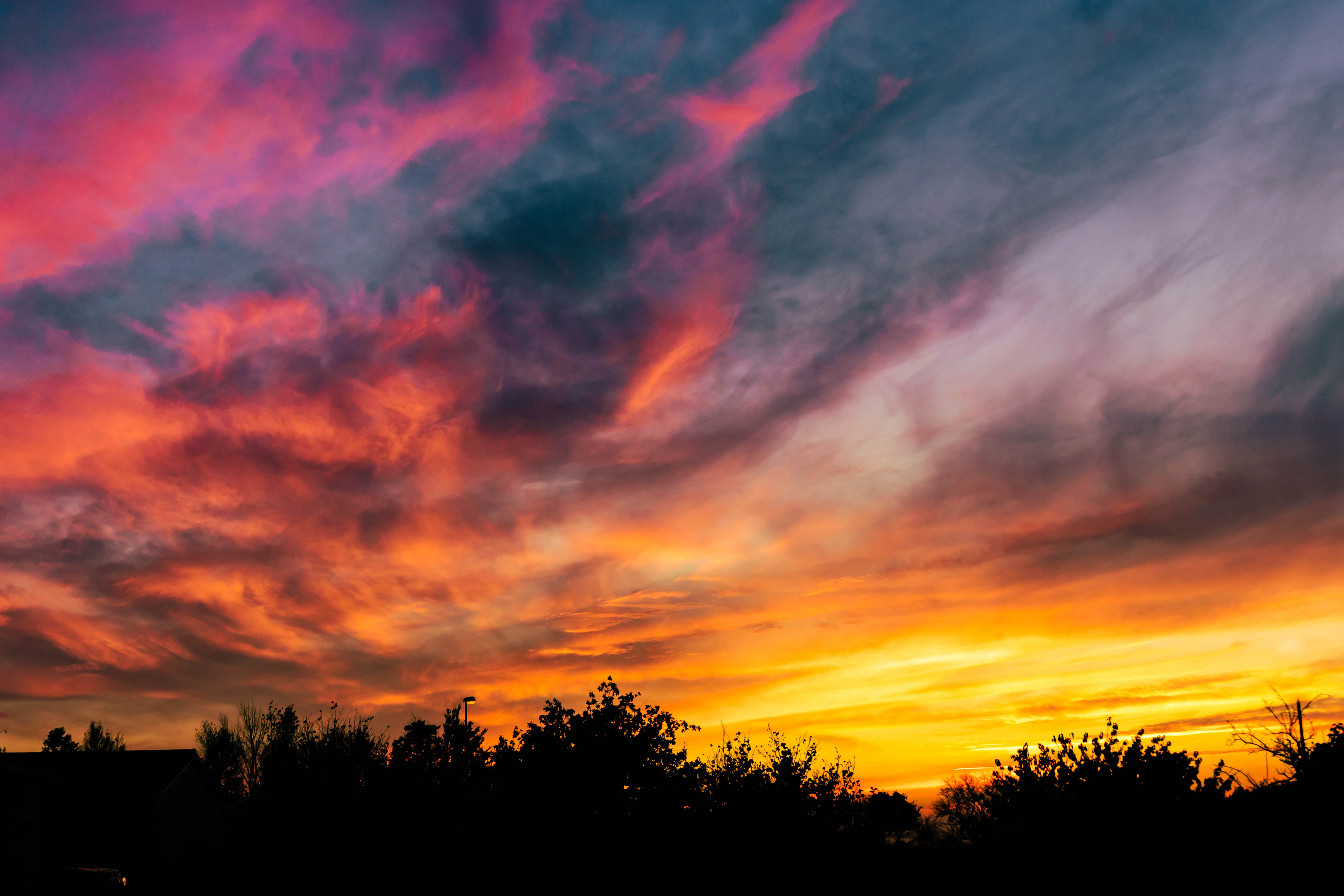 Nice View Between Forest Trees At Evening Sky Wallpapers