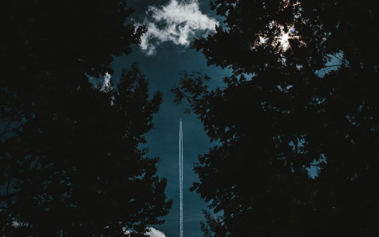 Nice View Between Forest Trees At Evening Sky Wallpapers