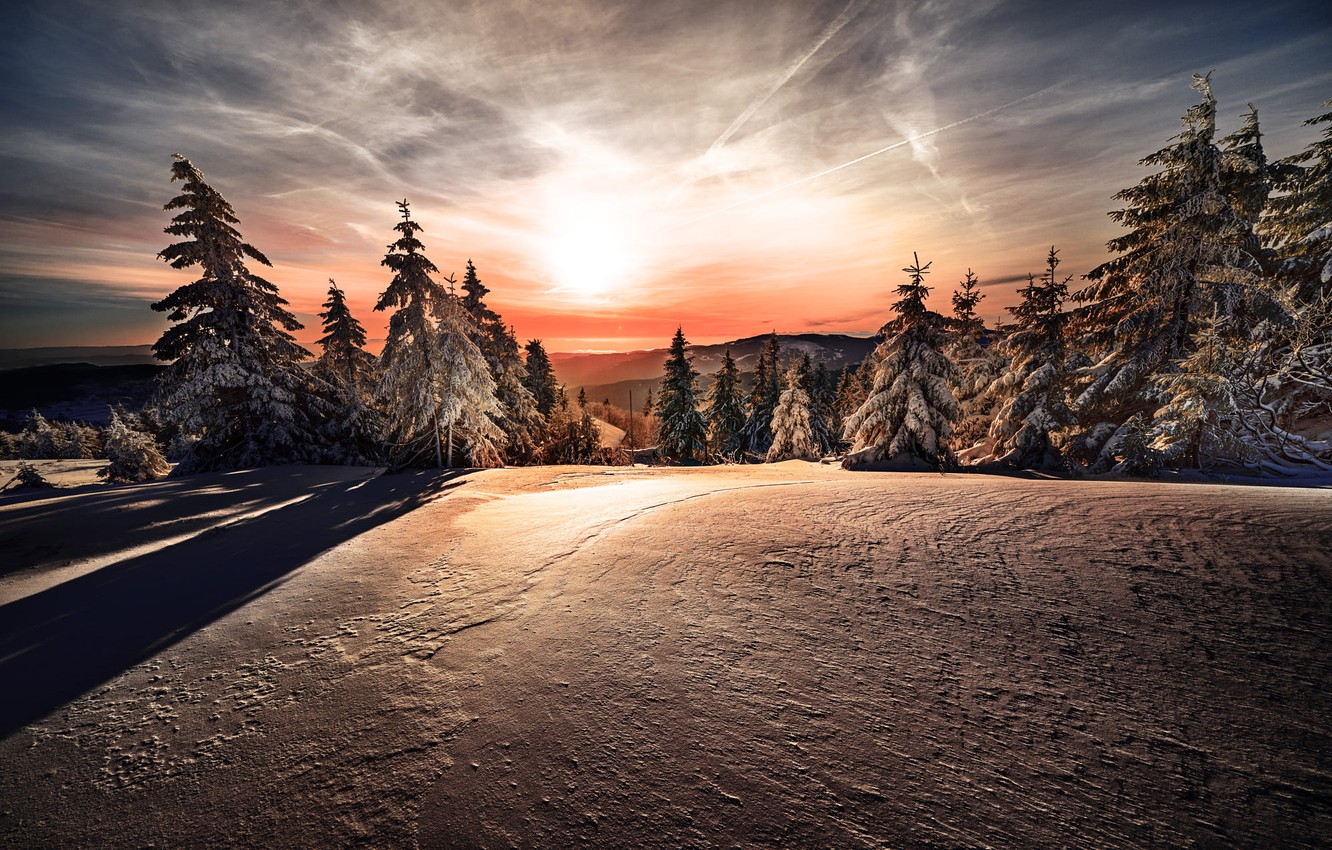 Nice View Between Forest Trees At Evening Sky Wallpapers