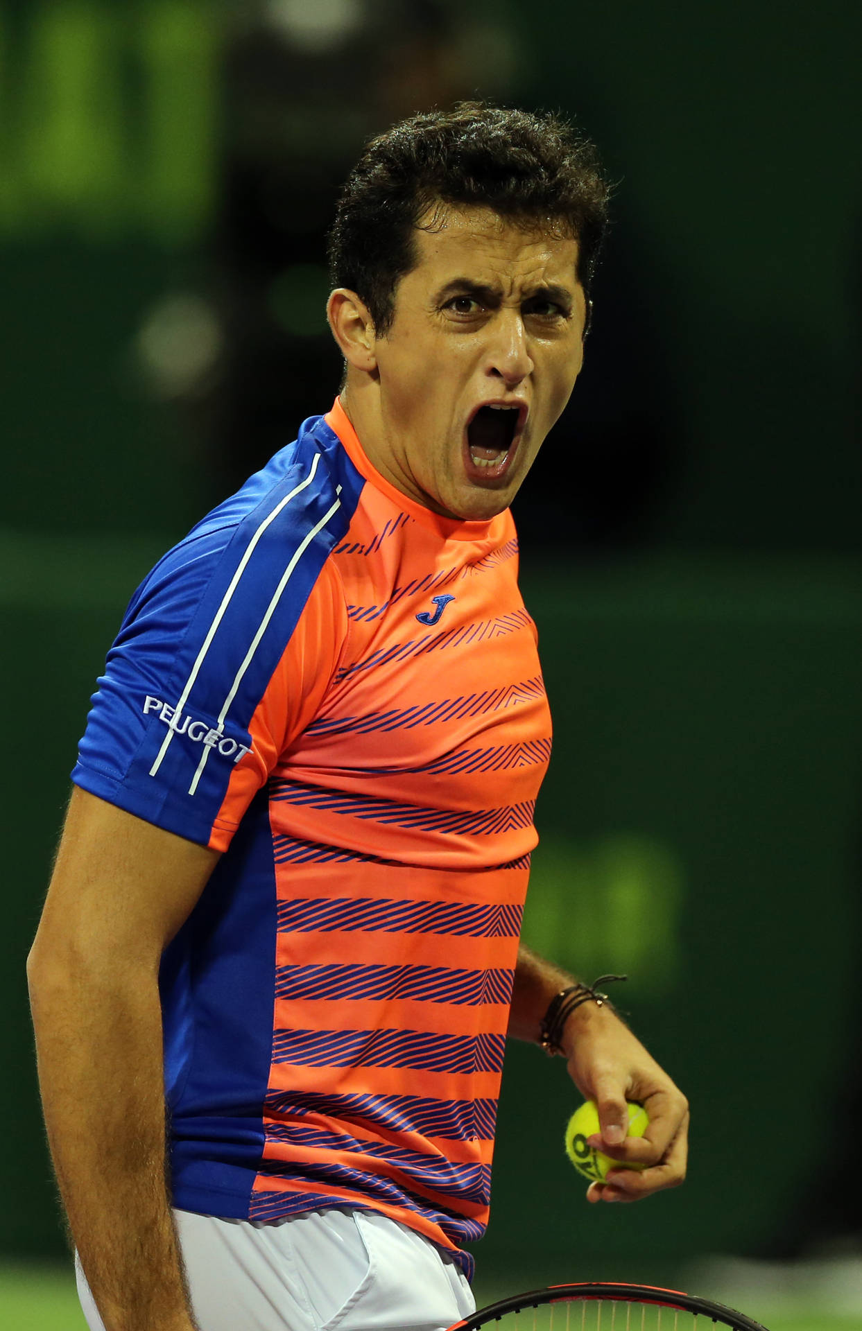 Nicolas Almagro Wallpapers